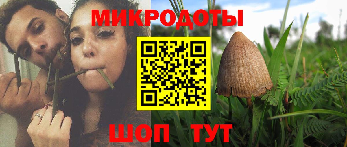 Псилоцибиновые грибы ЛСД Шелехов