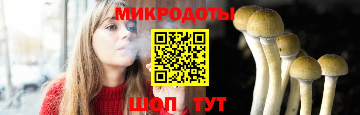 Шелехов  Псилоцибиновые грибы прущие грибы  Псилоцибиновые грибы мицелий  Вход с VPN 